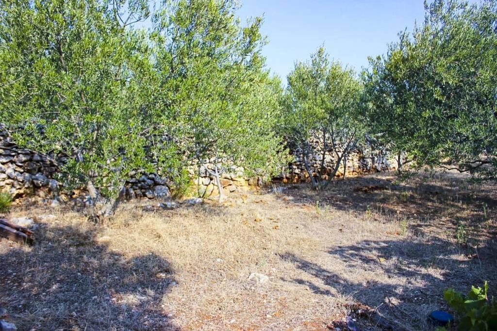 Kuca Za Odmor Obitelji Pedisic Villa Banj Dış mekan fotoğraf