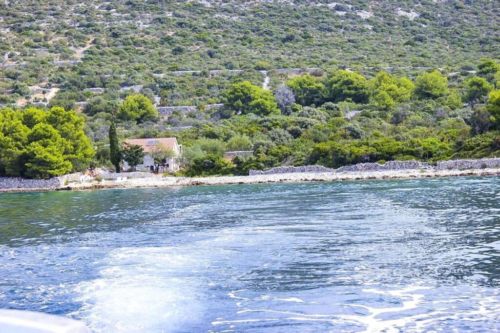 Kuca Za Odmor Obitelji Pedisic Villa Banj Dış mekan fotoğraf